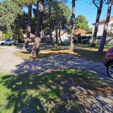 Logis Hotel Restaurant Les Charmettes Argeles-sur-Mer Luaran gambar